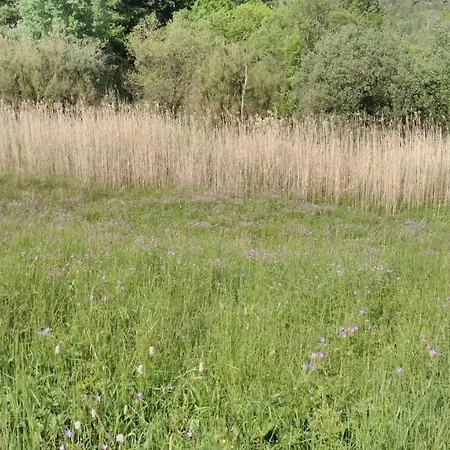 Haus Marion Apartment